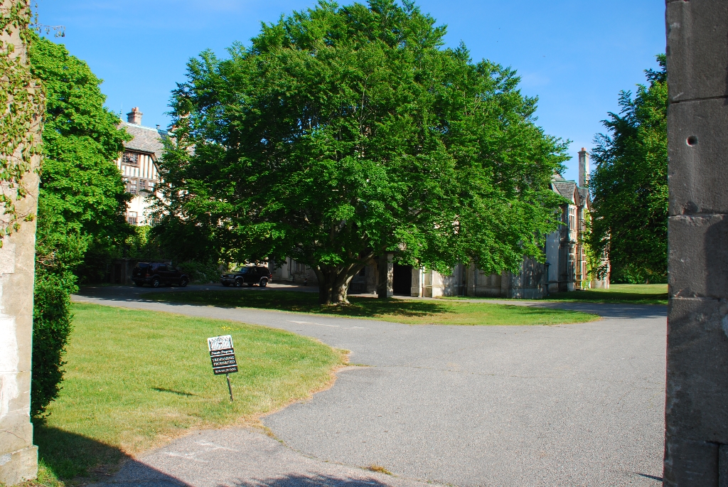 DSC_0147.JPG